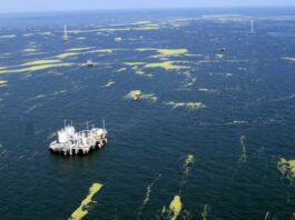 Datos claves que sitúan a Venezuela en el top de los recursos estratégicos Datos claves que sitúan a Venezuela en el top de los recursos estratégicos