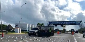 Detenido con droga en Maicillal es de Punto Fijo