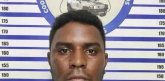 Detenido peligroso criminal que se dedicaba al robo de vehículos