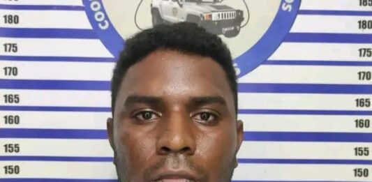 Detenido peligroso criminal que se dedicaba al robo de vehículos