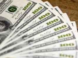 Dólar oficial se modera durante noviembre con alza de 8,70% y abrirá en Bs.243,11 mañana martes 25 Dólar oficial se modera durante noviembre con alza de 8,70% y abrirá en Bs.243,11 el martes 25
