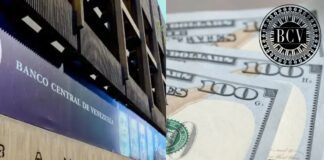 Así se cotizan hoy las divisas oficiales (dólar y euro) Así se cotizan hoy las divisas oficiales (dólar y euro) / Dólar y Euro BCV para hoy 7 de noviembre