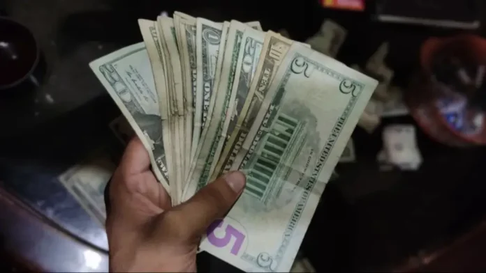 Dólar y euro BCV para hoy 11 de noviembre