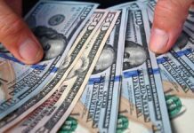 Dólar y euro BCV: así se cotizan las divisas oficiales hoy 19 de noviembre Dólar y euro BCV: así se cotizan las divisas oficiales hoy 19 de noviembre