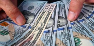 Dólar y euro BCV: así se cotizan las divisas oficiales hoy 19 de noviembre Dólar y euro BCV: así se cotizan las divisas oficiales hoy 19 de noviembre