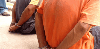 Detenidos seis extorsionadores en el Zulia