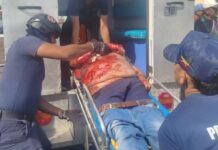 Vídeo| Reportan un comerciante muerto por arrollamiento en Coro