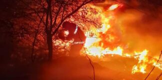 A fuerza de palas, rastrillos y bastidores sofocan incendio en Punto Fijo