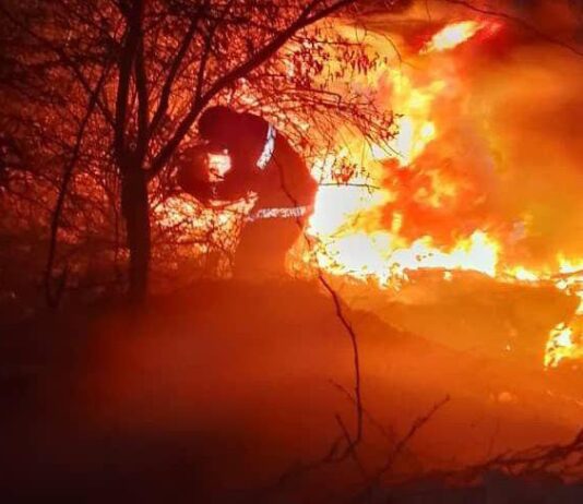 A fuerza de palas, rastrillos y bastidores sofocan incendio en Punto Fijo