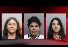 Miami | Ofrecían servicios sexuales en una zona residencial Miami | Ofrecían servicios sexuales en una zona residencial