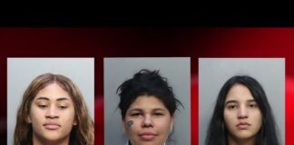 Miami | Ofrecían servicios sexuales en una zona residencial Miami | Ofrecían servicios sexuales en una zona residencial