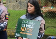 Navidad sin musgo, la campaña de Ecosocialismo +MULTAS