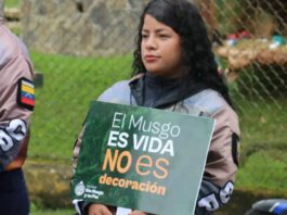 Navidad sin musgo, la campaña de Ecosocialismo +MULTAS