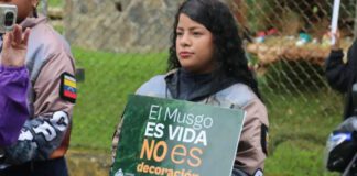 Navidad sin musgo, la campaña de Ecosocialismo +MULTAS