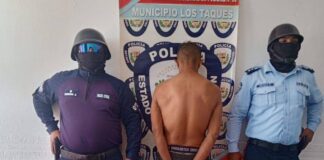 Polifalcón aprehendió a «El Ñoño» por hurto en Judibana
