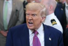 Trump pide castigar «con muerte» a senadores demócratas y estos responden Trump pide castigar "con muerte" a senadores demócratas y estos responden