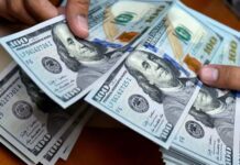 Así se cotizará el dólar este sábado 01 hasta el lunes 03 de noviembre