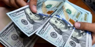Así se cotizará el dólar este sábado 01 hasta el lunes 03 de noviembre