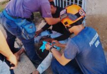 Vehículo que se dio a la fuga colisionó con motorizado cerca del Castelo-Jacinto Lara