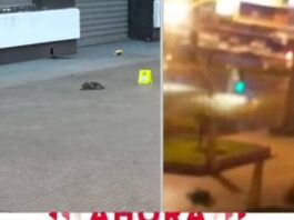 Venezolano muere tras recibir dos tiros en la cabeza en Chile