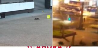 Venezolano muere tras recibir dos tiros en la cabeza en Chile