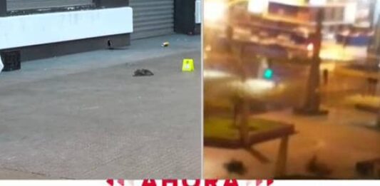 Venezolano muere tras recibir dos tiros en la cabeza en Chile