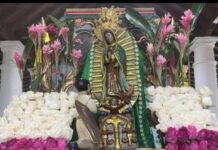 Amor y fé inundó la bajada de la Virgen de Guadalupe del Carrizal