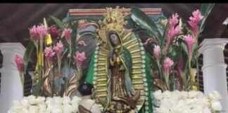 Amor y fé inundó la bajada de la Virgen de Guadalupe del Carrizal