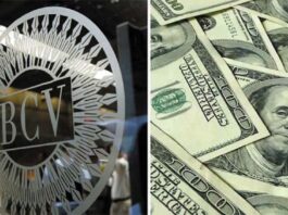 Dólar y euro BCV para hoy 14 de noviembre