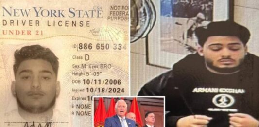 Ésto llevó a la captura de un delincuente solicitado en varios países Ésto llevó a la captura de un delincuente solicitado en varios países