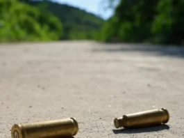 Nueve delincuentes abatidos tras intervenciones legales Nueve delincuentes abatidos tras intervenciones legales