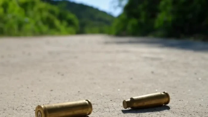 Nueve delincuentes abatidos tras intervenciones legales