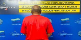 Detenido jardinero por delito de acto sexual en escuela