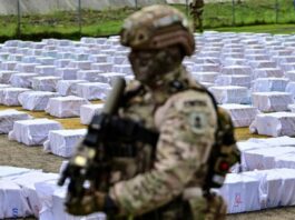 Decomisan 11 toneladas de droga en Panamá, un venezolano entre los detenidos