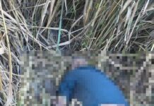 Aragua | Encuentran cadáver de adulto mayor desaparecido