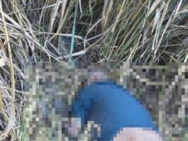 Aragua | Encuentran cadáver de adulto mayor desaparecido