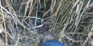 Aragua | Encuentran cadáver de adulto mayor desaparecido