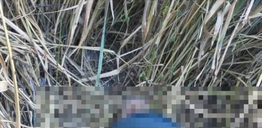 Aragua | Encuentran cadáver de adulto mayor desaparecido