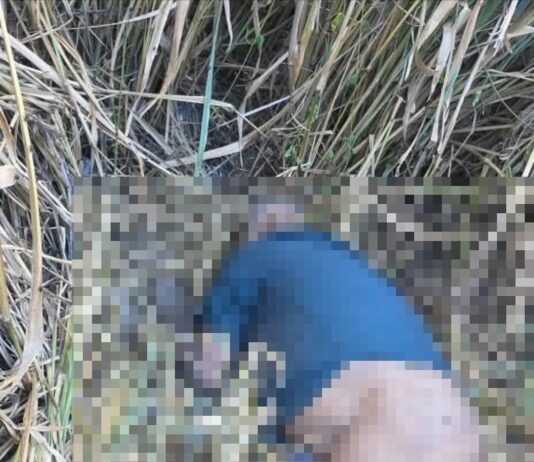 Aragua | Encuentran cadáver de adulto mayor desaparecido