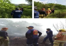 Bomberos de Santa Rita, Cabimas y Pdvsa sofocan incendio de vegetación y residuos de crudo