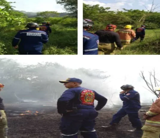 Bomberos de Santa Rita, Cabimas y Pdvsa sofocan incendio de vegetación y residuos de crudo