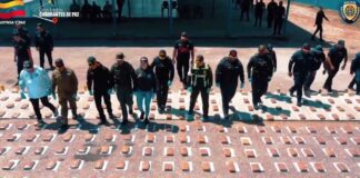 PNB incauta más de 1.200 kilos de marihuana en Lara