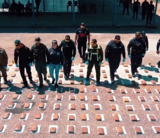 PNB incauta más de 1.200 kilos de marihuana en Lara