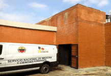 Murió hombre tras caer de una mata de mango