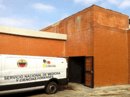 Murió hombre tras caer de una mata de mango