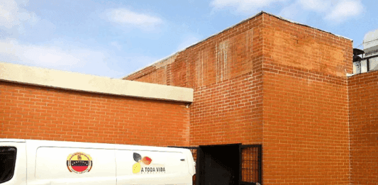 Murió hombre tras caer de una mata de mango