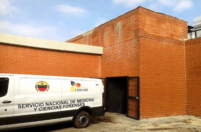 murió tras caer de mata de mango