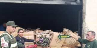 74.400 paquetes de musgo decomisó la GNB +FOTOS