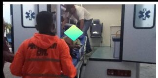 Niño lesionado tras caer de un árbol en Pueblo Nuevo