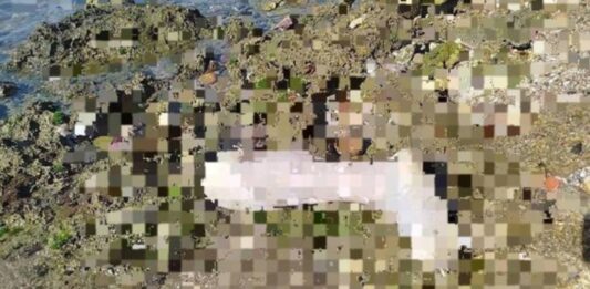 Encuentran restos humanos dispersos en orilla de playa